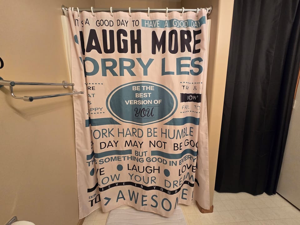 Lower level Bathroom 