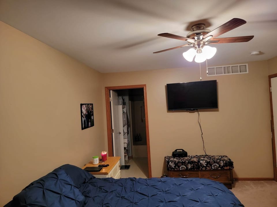 Lower level Bathroom 