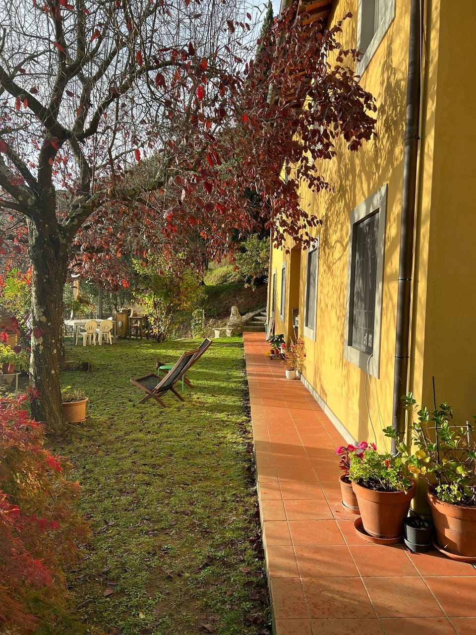 Terrace/patio