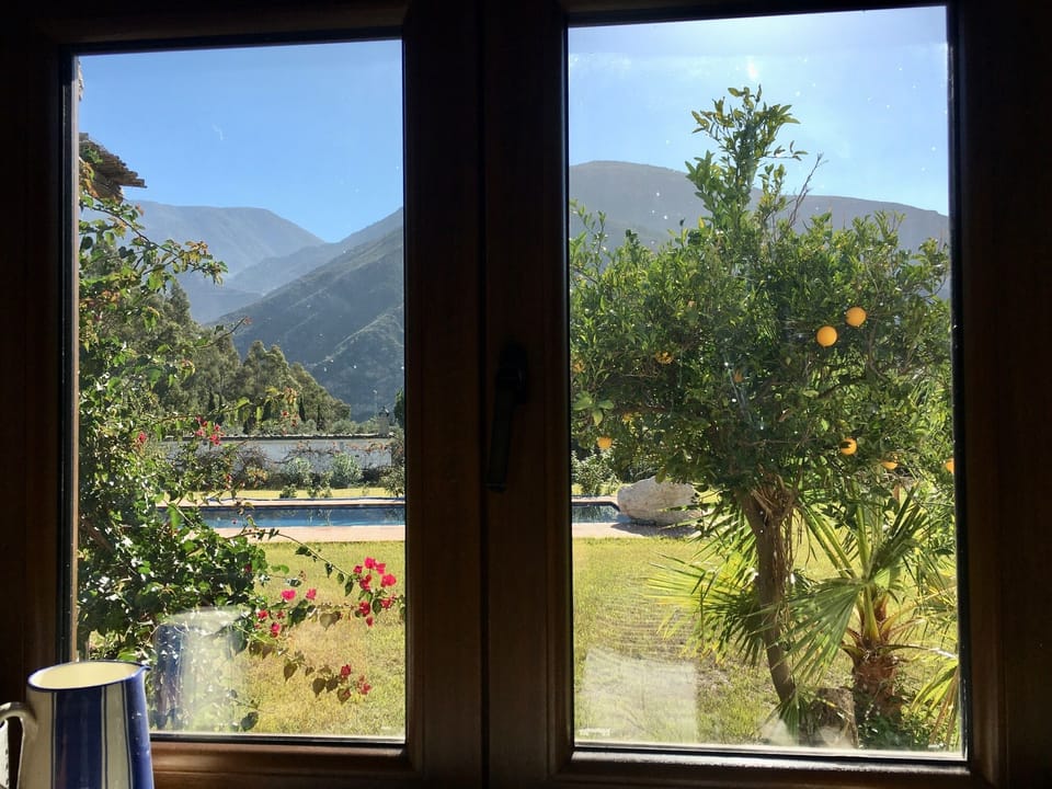 Cortijo, view from kitchen window