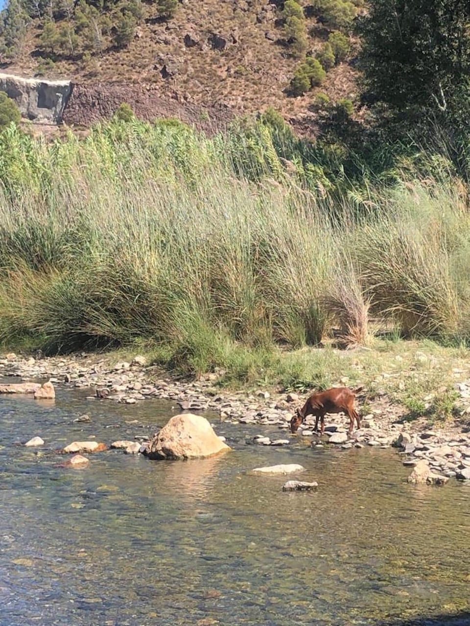 scenes of the Guadalfeo river, Órgiva