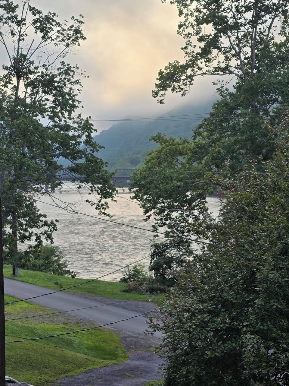Photo from front porch left side of the house.