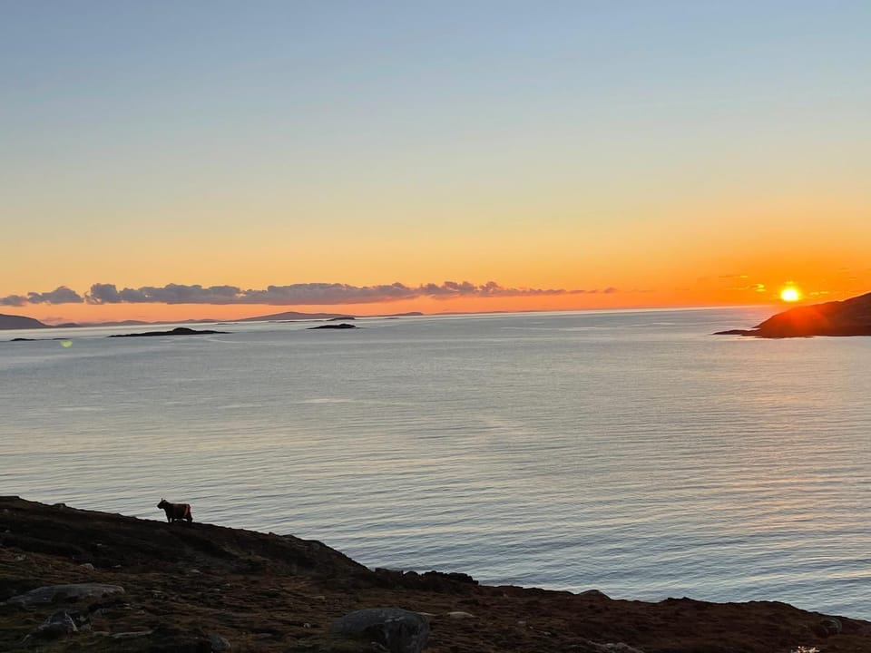 Hushinish Beach, close by to the cottage