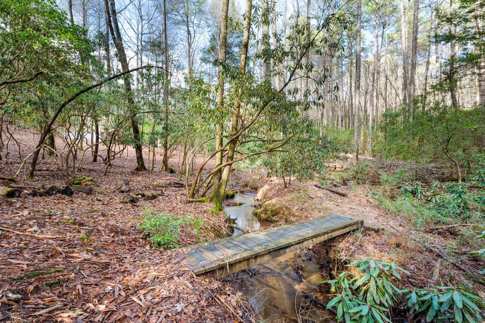 Trail Side Retreat: Creek Bridge Connecting to the Benton MacKaye Trail