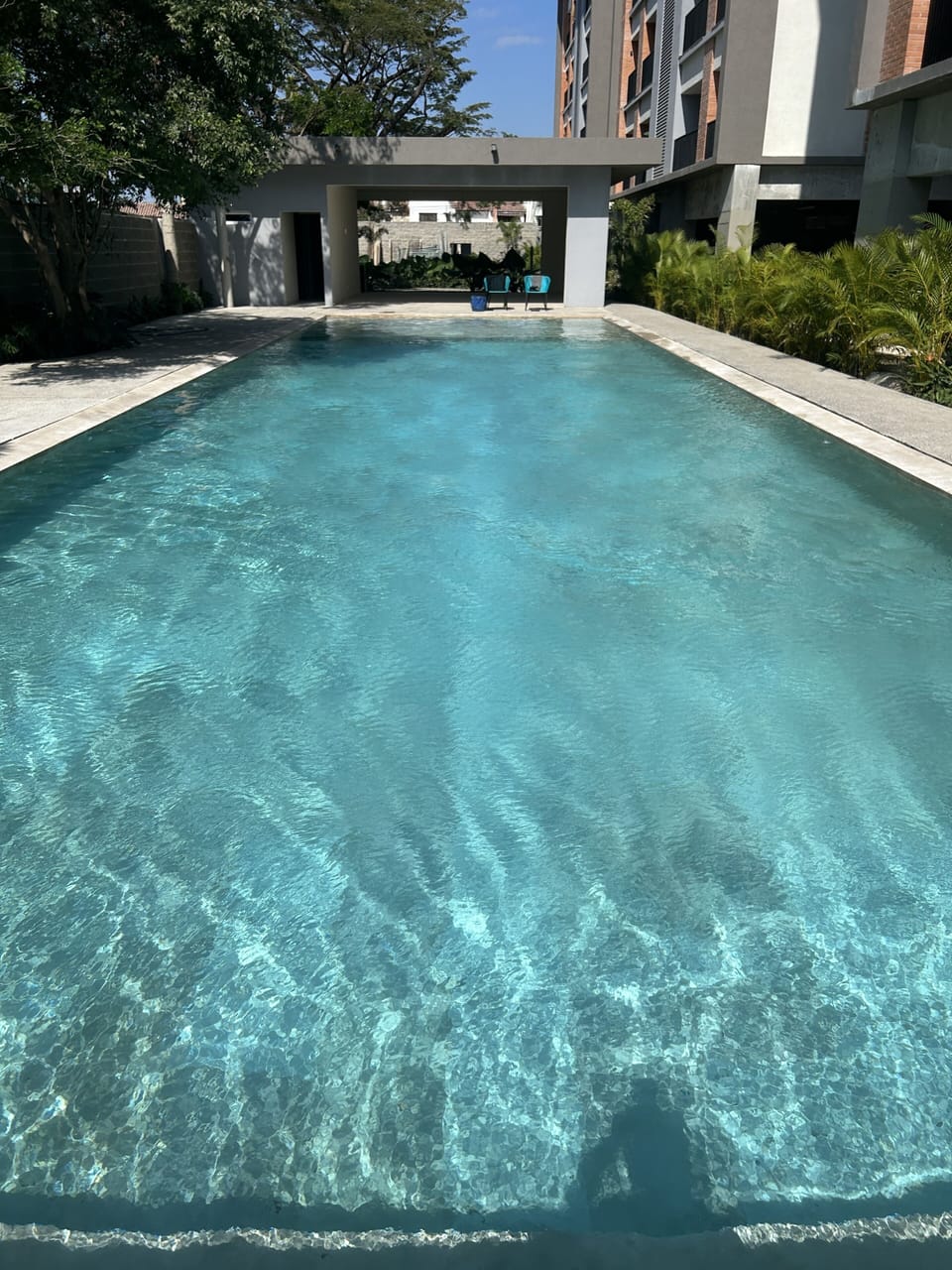 Pool, bbq and relaxing area