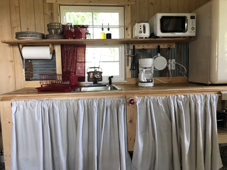 Kitchenette with induction hot plate, fridge and small appliances. 