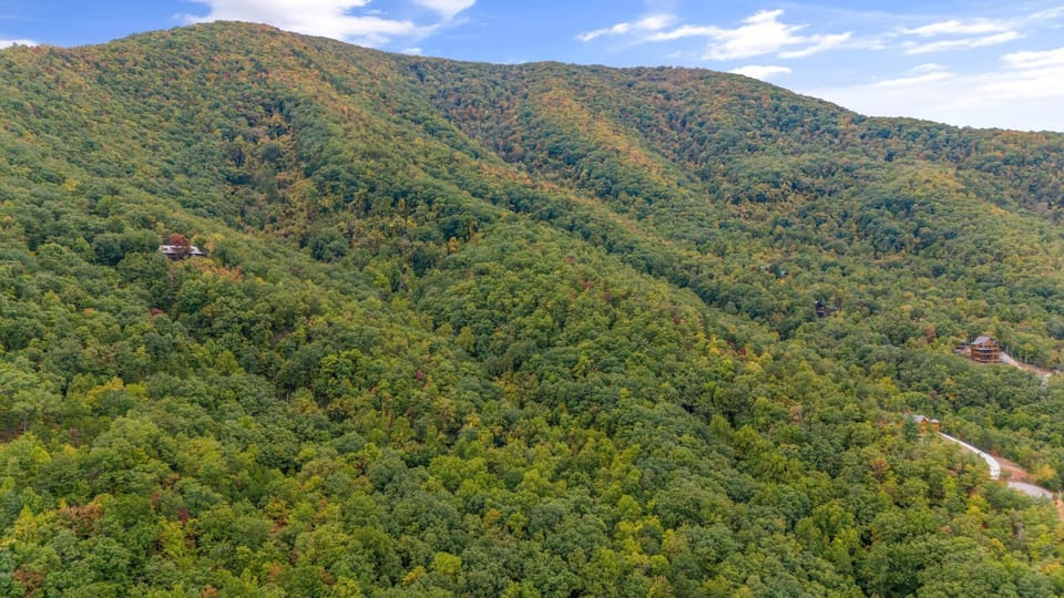 Land, Nature, Outdoors, Tree, Vegetation
