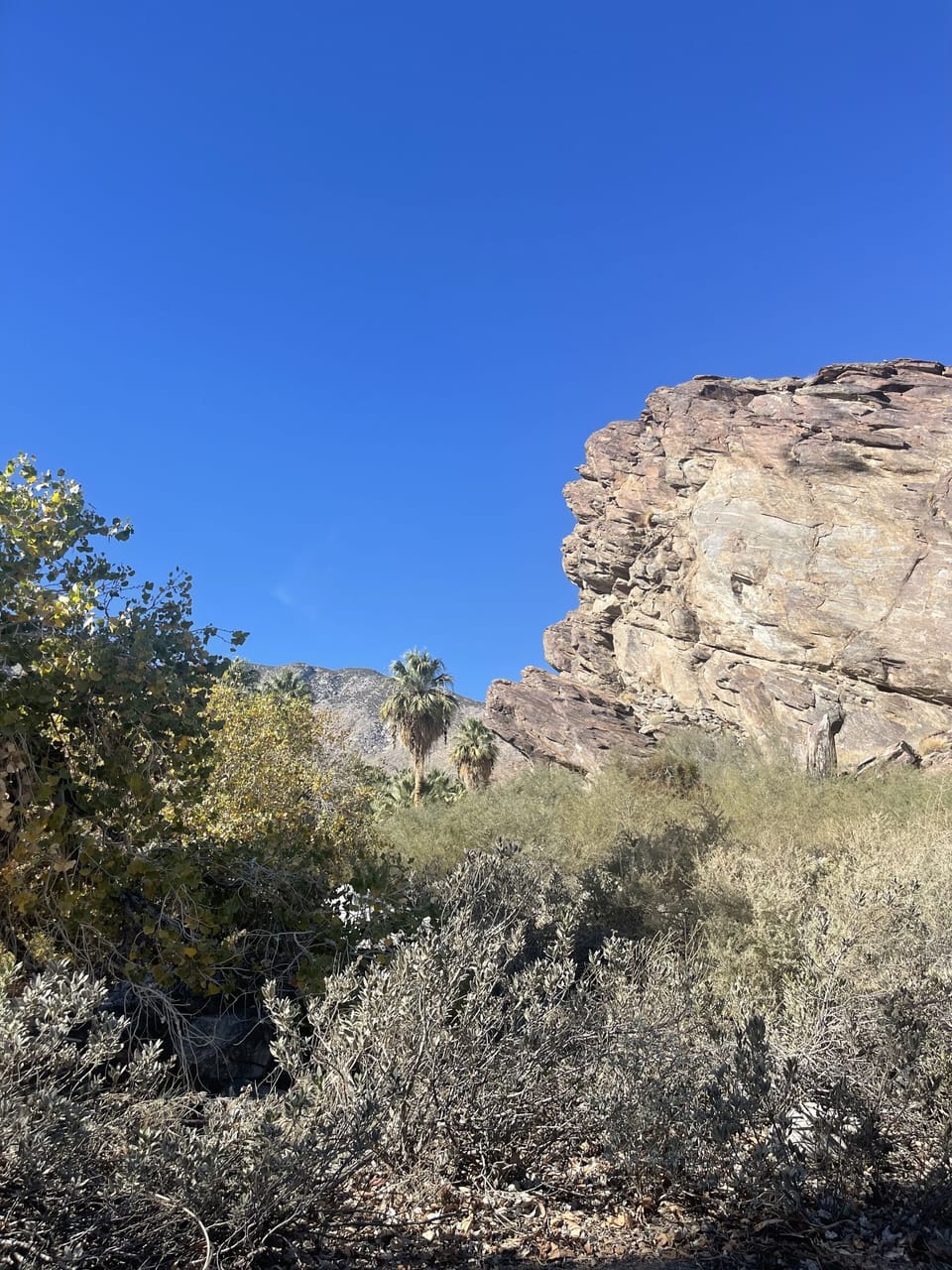 Miscellaneous
