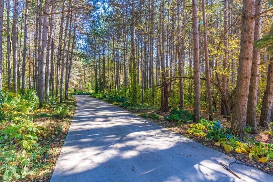 Region [summer] (>5 km)