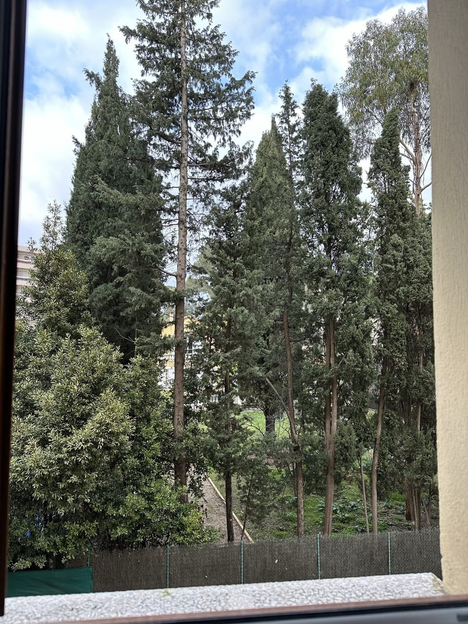 View from property