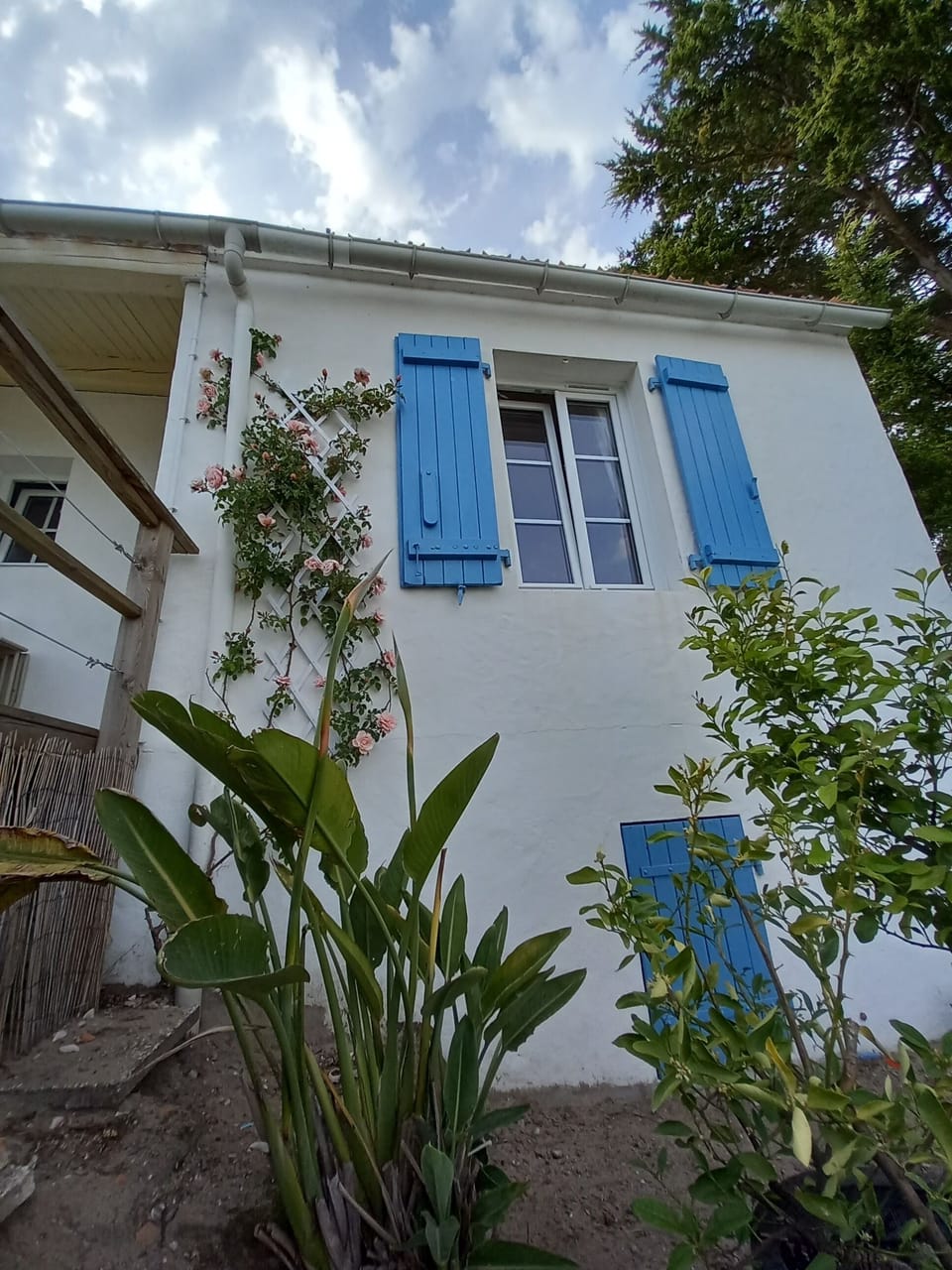 Exterior detail