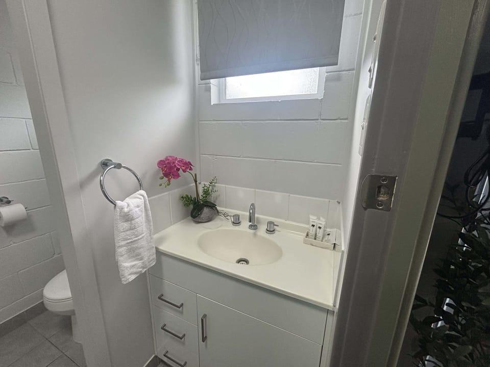 The bathroom vanity, with fresh towels and toiletries provided.