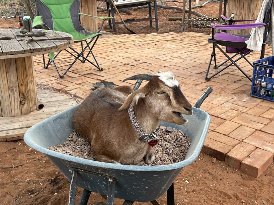 Mmm we done yet, I might rest here!!!