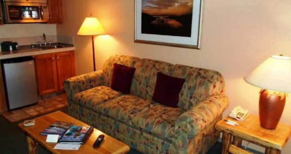 Great sleeper sofa in the living area.