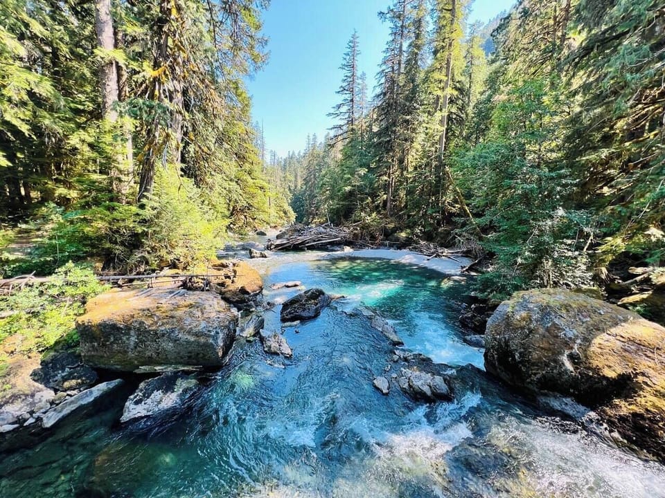 Explore the scenic Staircase Rapids Loop in Olympic National Park! This beautiful trail winds through lush old-growth forests along the rushing Skokomish River, offering breathtaking views and a peaceful nature escape.