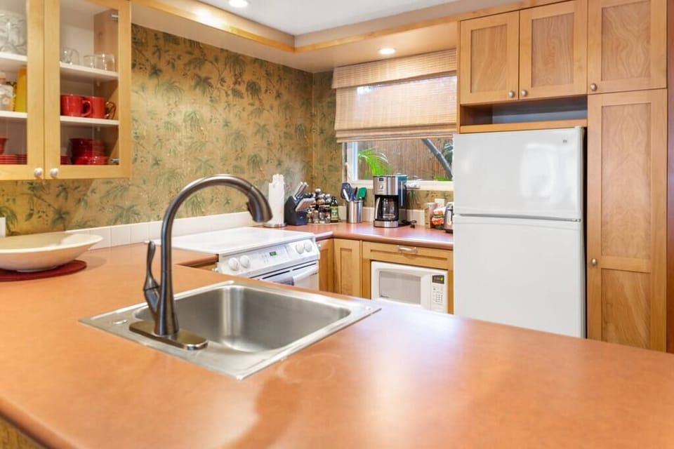 Kitchen with full size fridge, microwave, dishwasher and stove/oven
