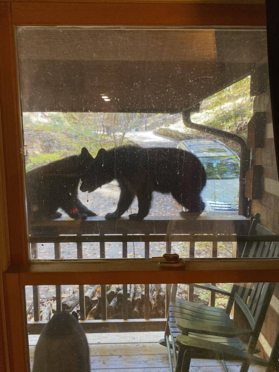 View from property