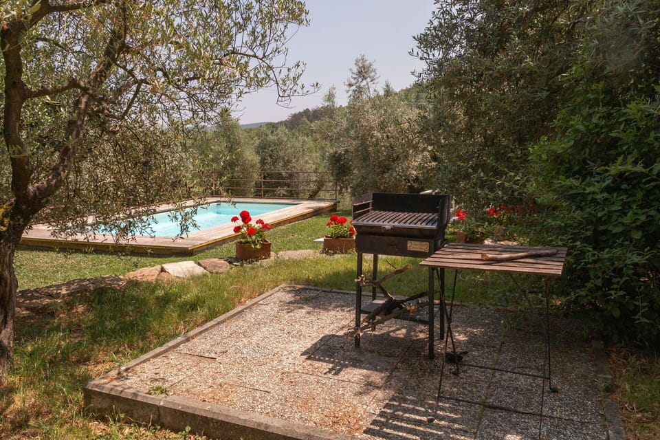 Furniture, Outdoor Furniture, Garden, Backyard, Shade, Yard, Landscaping, Outdoor Table
