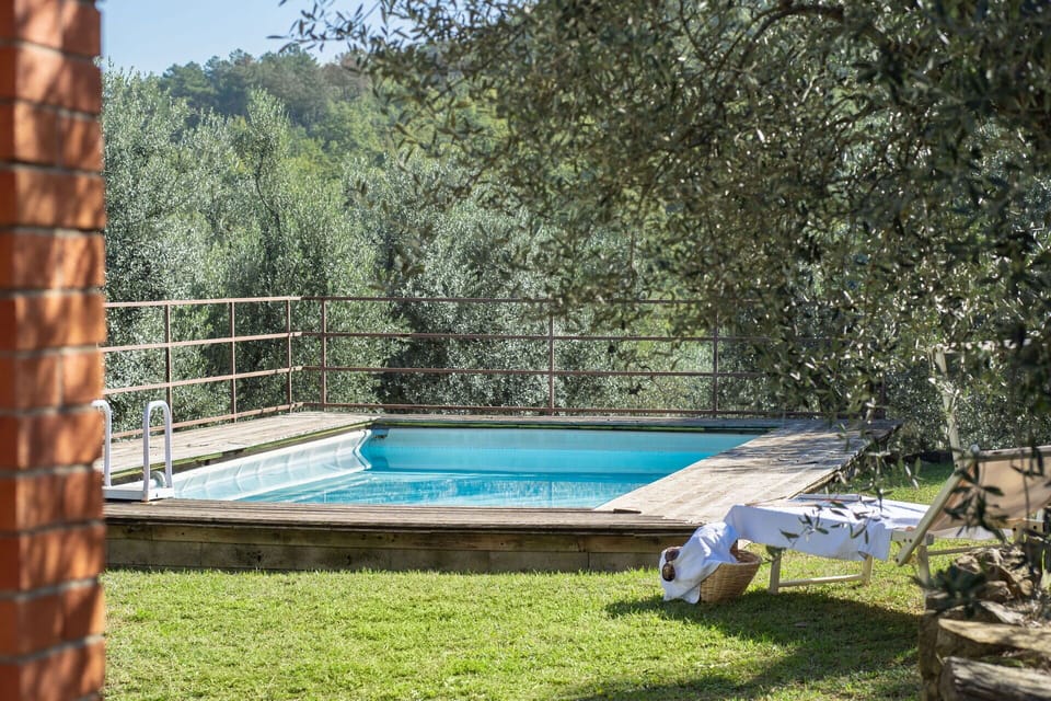Water, Plant, Swimming Pool, Shade, Leisure, Grass, Composite Material, Landscape, Wood, Rectangle