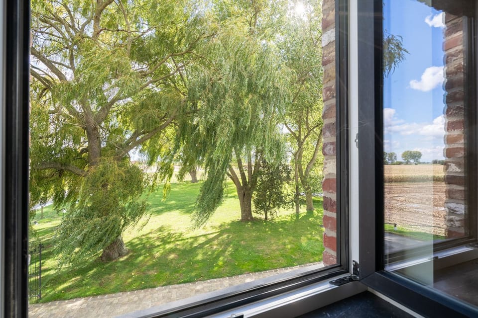 View from Holiday Home [summer]