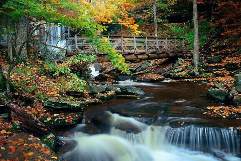 Tobyhanna State Park