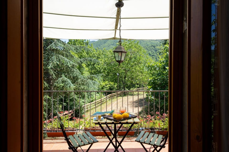 Balcony / Terrace / Patio