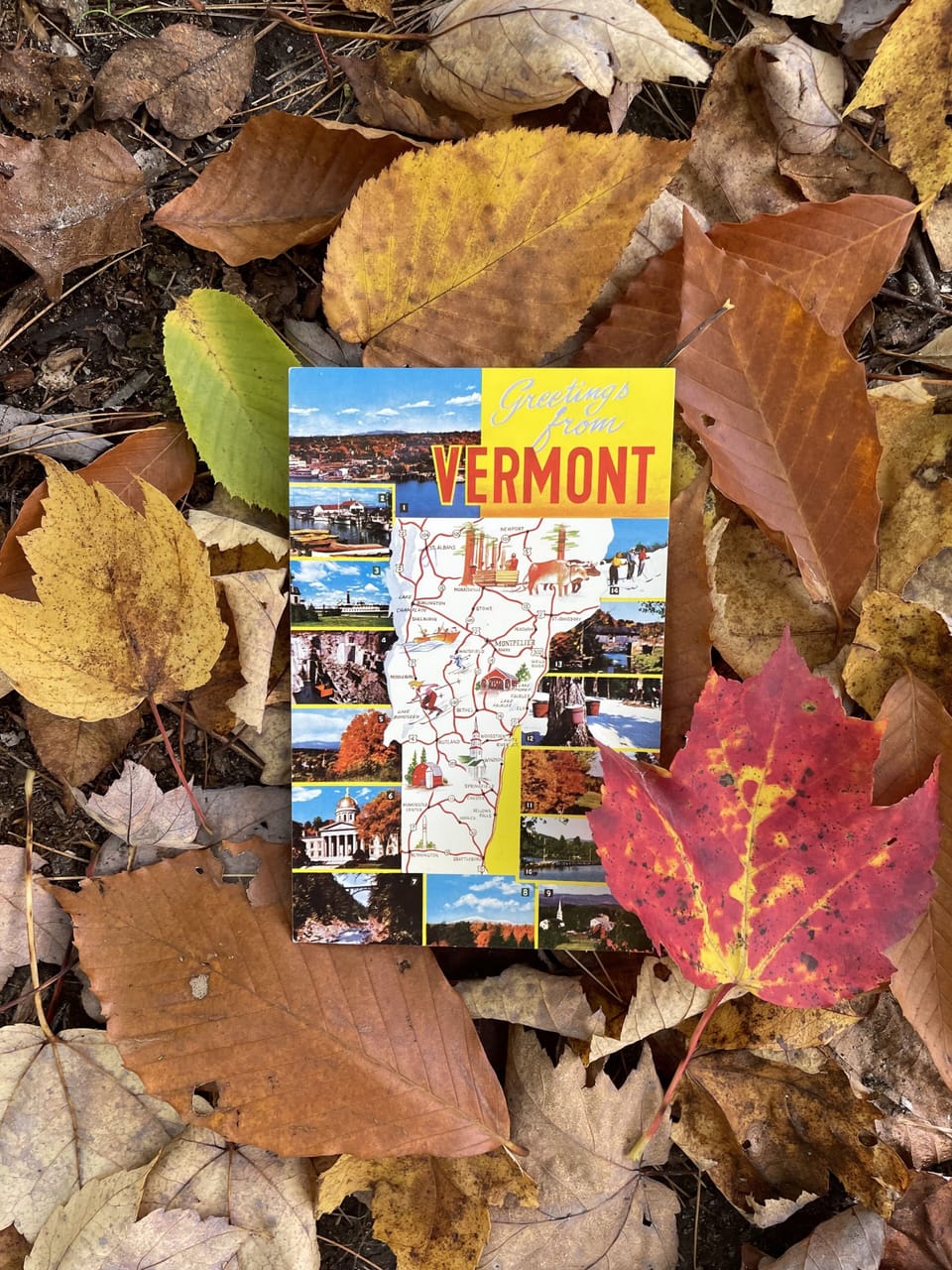 On the literal border of Vermont and Williamstown, Massachusetts. Ideal location