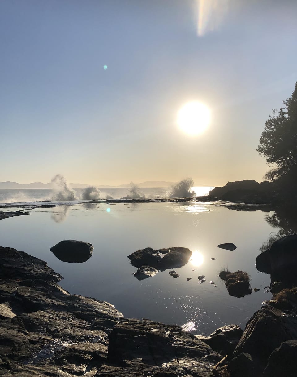 Botanical Beach (Day Trip)