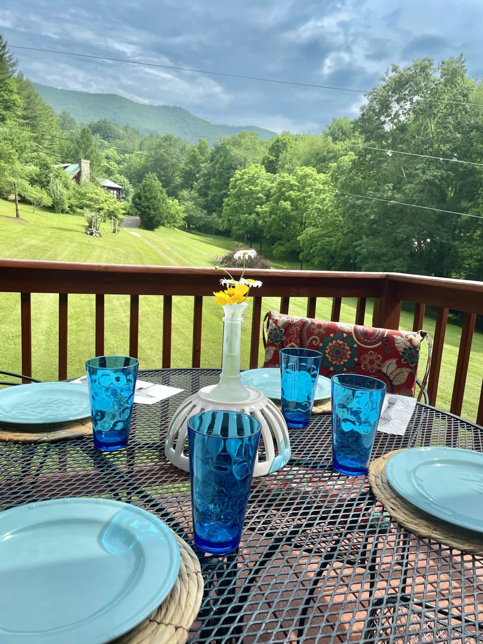 dinner on the deck with a view