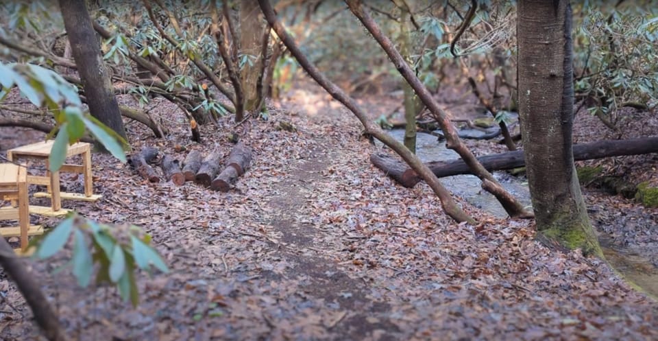 Walk creekside along the groomed trails. Enjoy morning coffee at seating areas.