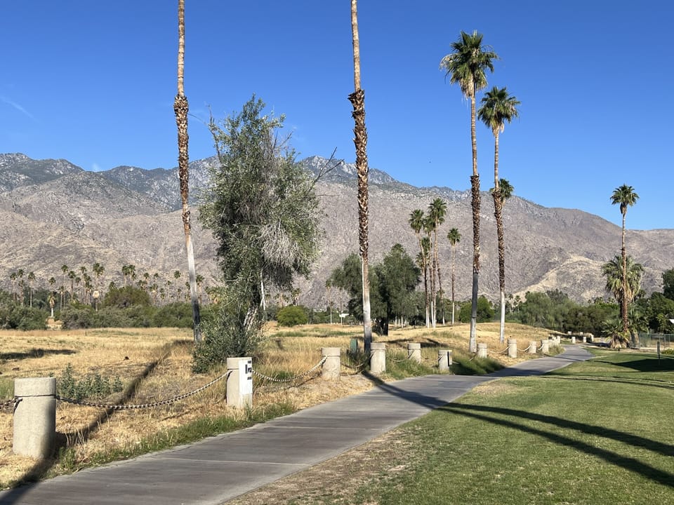 Walking Path behind Condo
