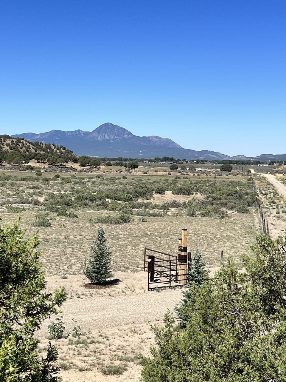 View of our entry and Sleeping Ute mountain from on top of our little hill.