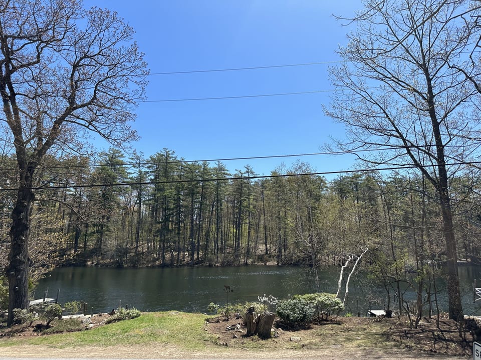 View of lake from front porch 5/2023
