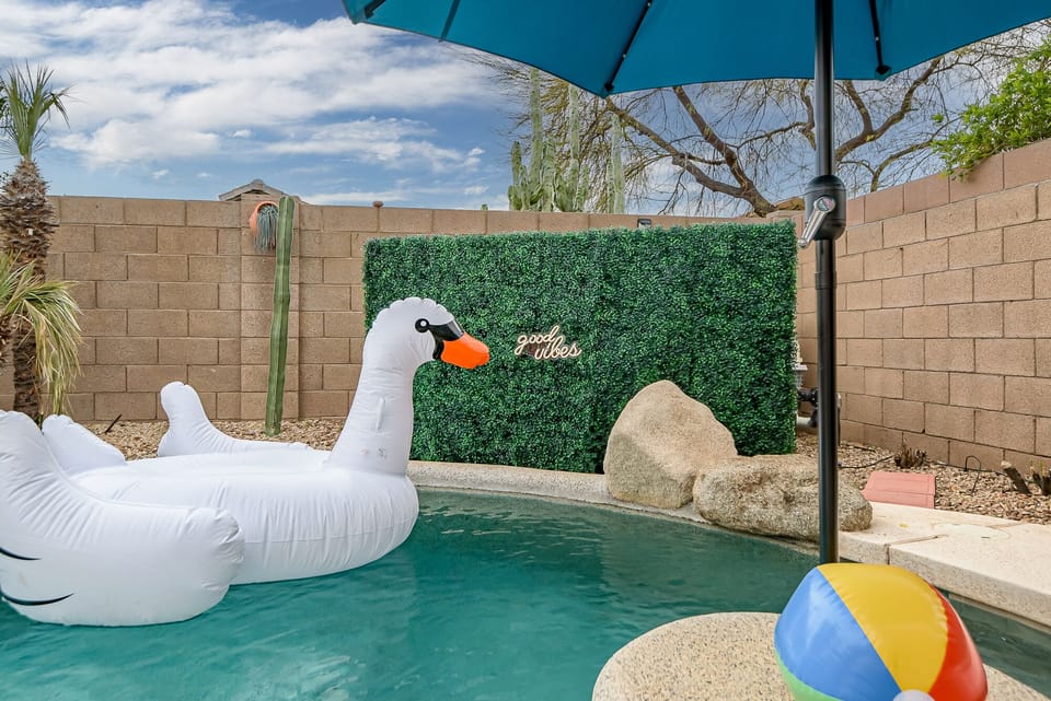 Swimming pol with photo backdrop and inflatable pool toys.