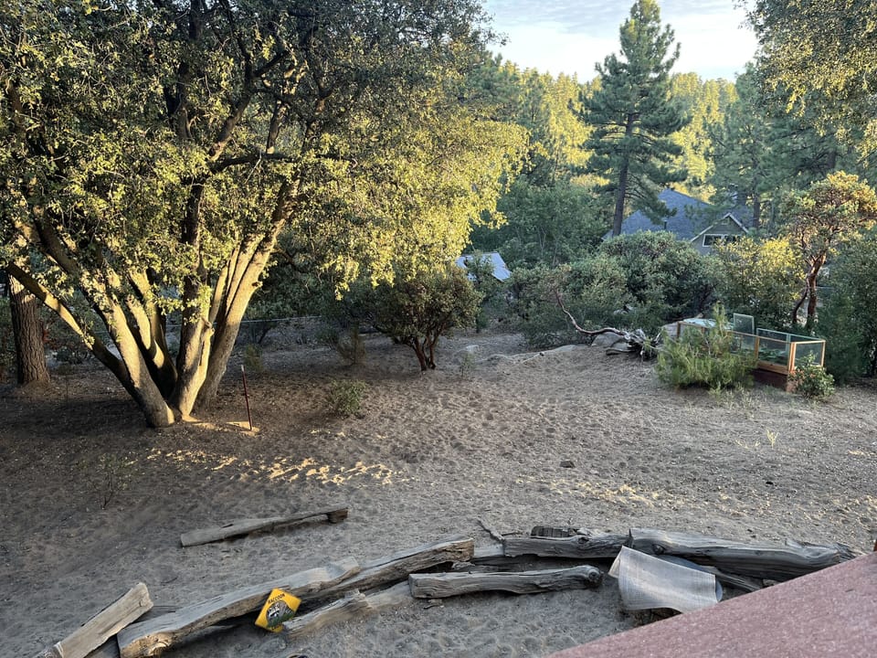 Back yard with no snow.