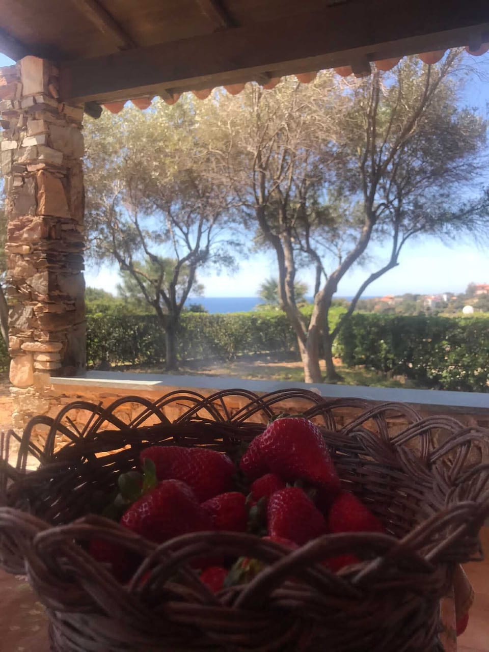 View from property