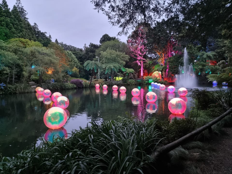 Pukekura park lights-January 