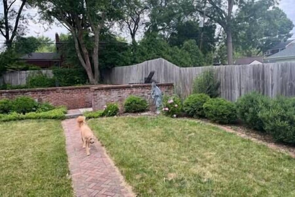 Backyard.