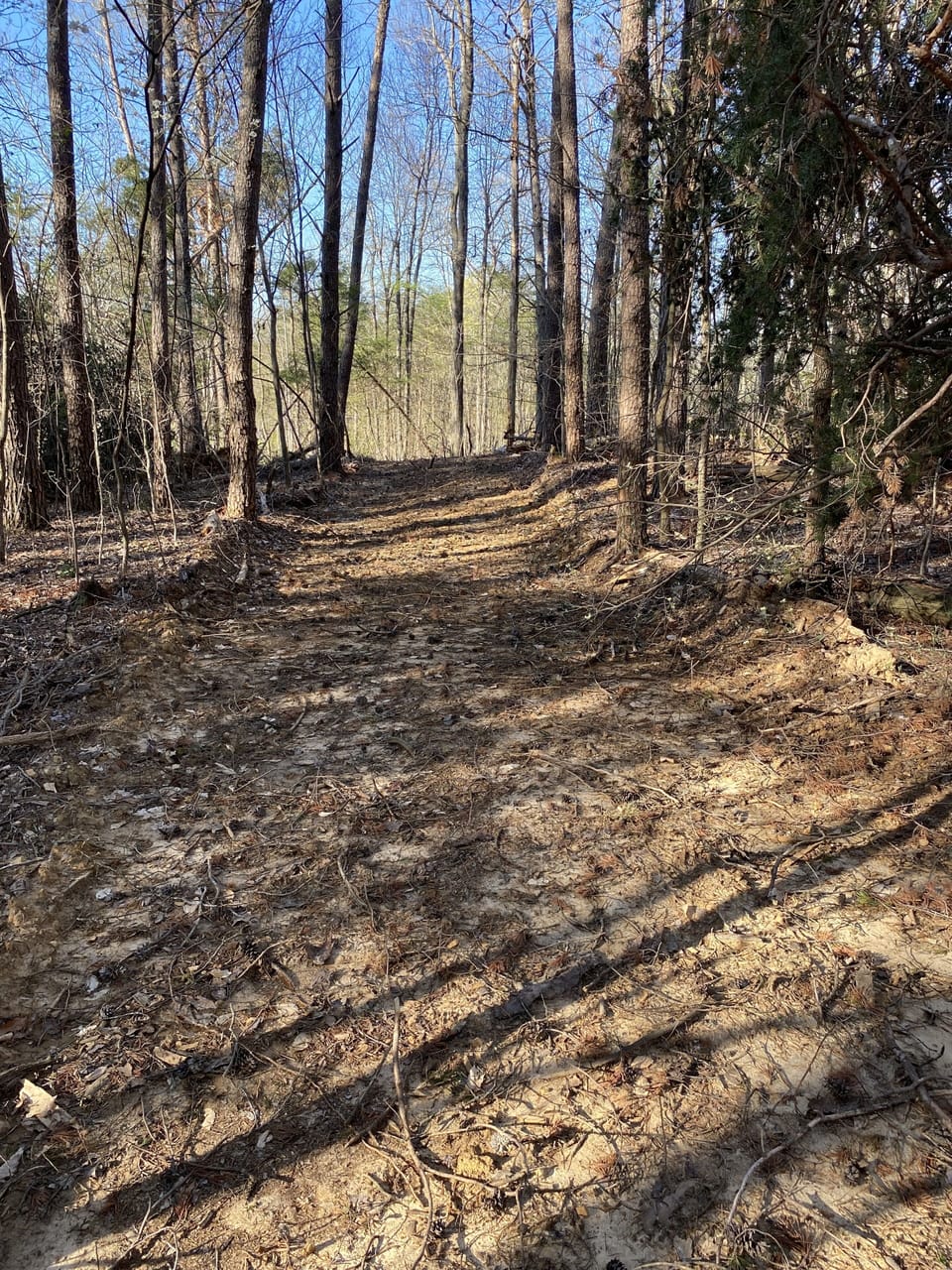 Hiking trail on property