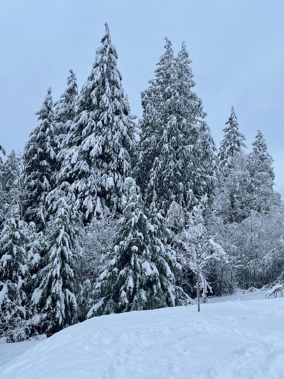 Snow and ski sports