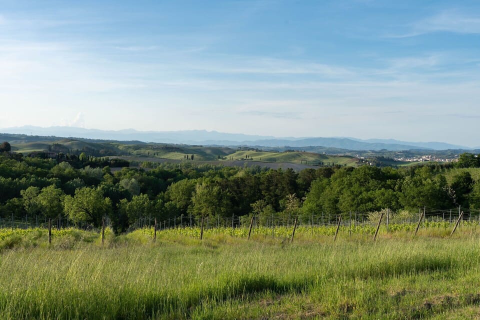 Autumn, Scenic View, Spring, Summer