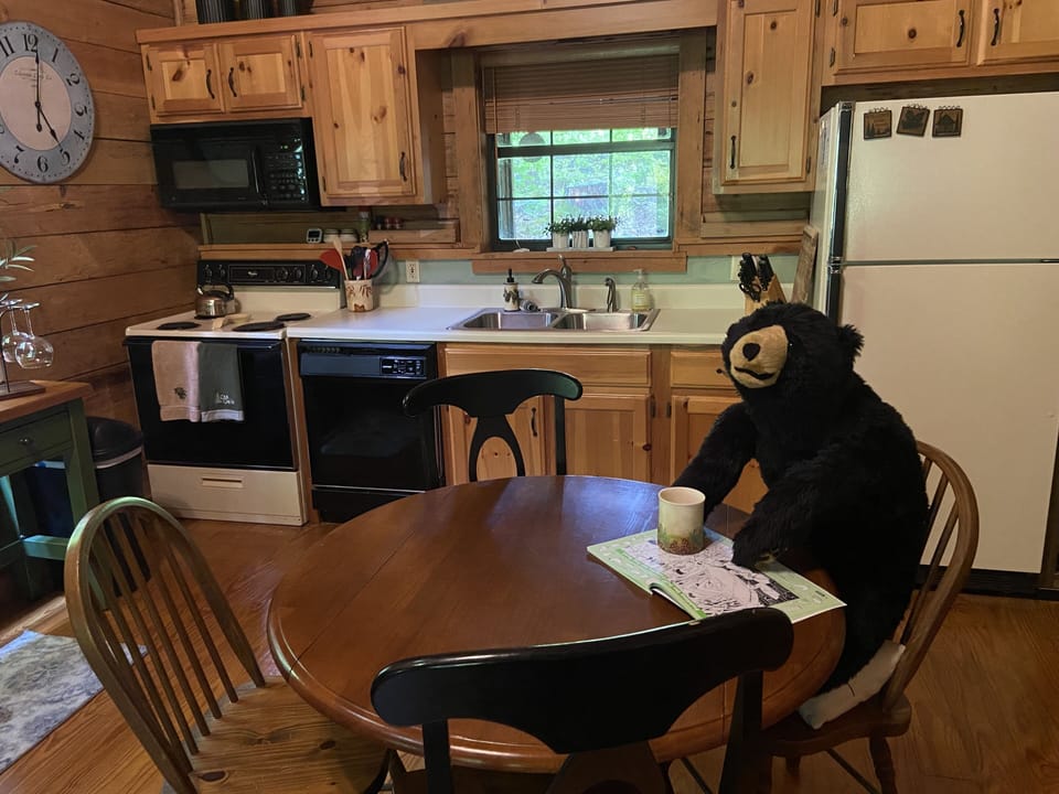Our Barry the Bear loves when the cabin has guests!