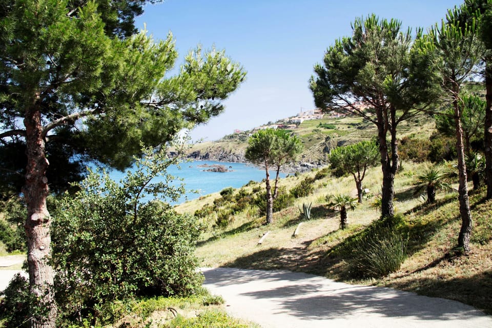 Immediate Surroundings [summer] (<1 km)