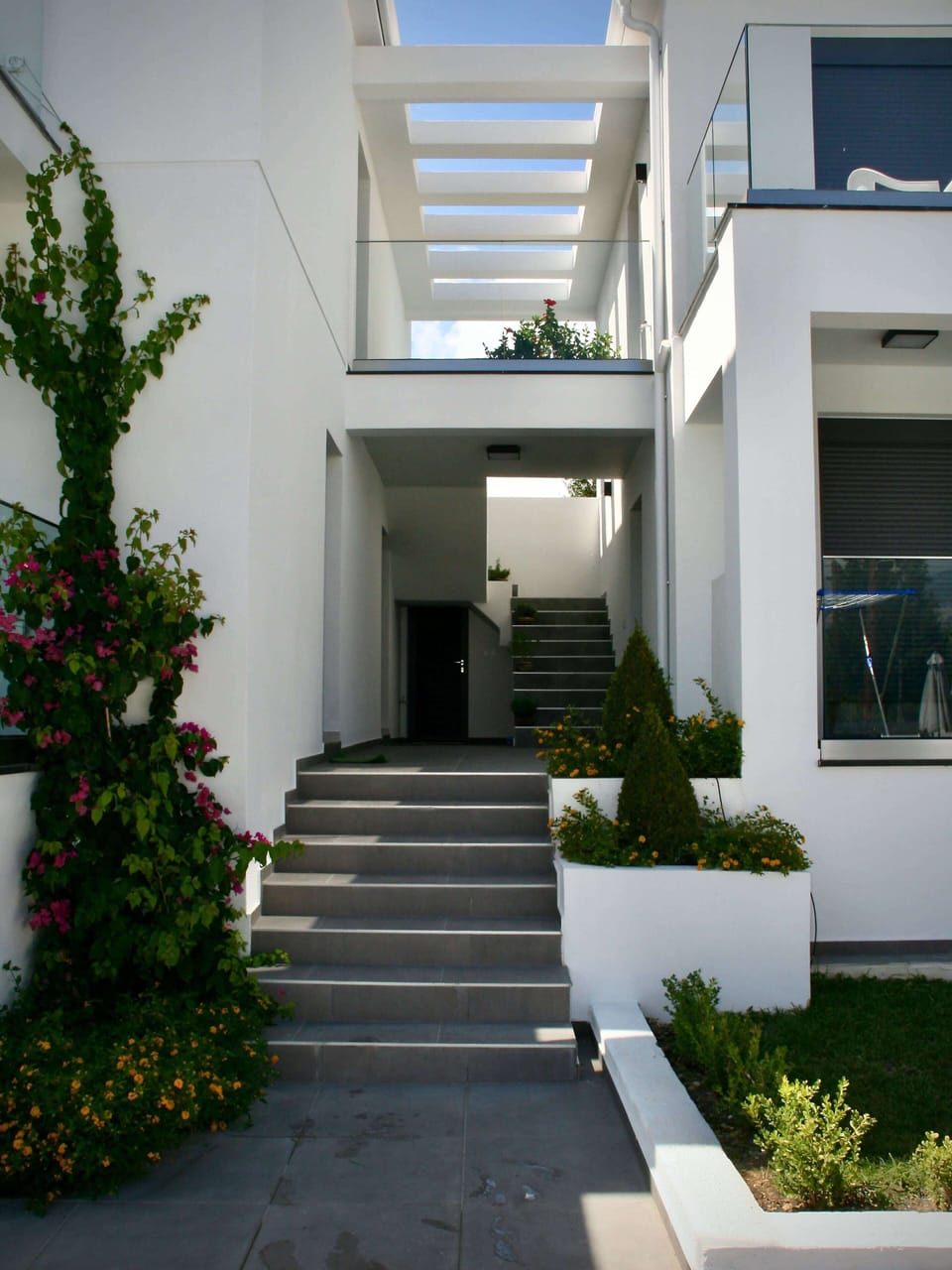 ingresso