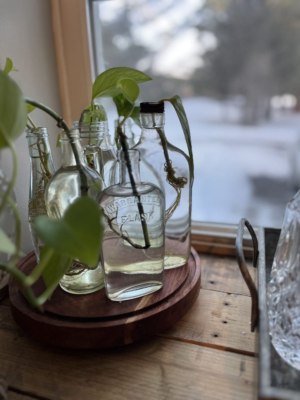 propagation station, take a cutting home