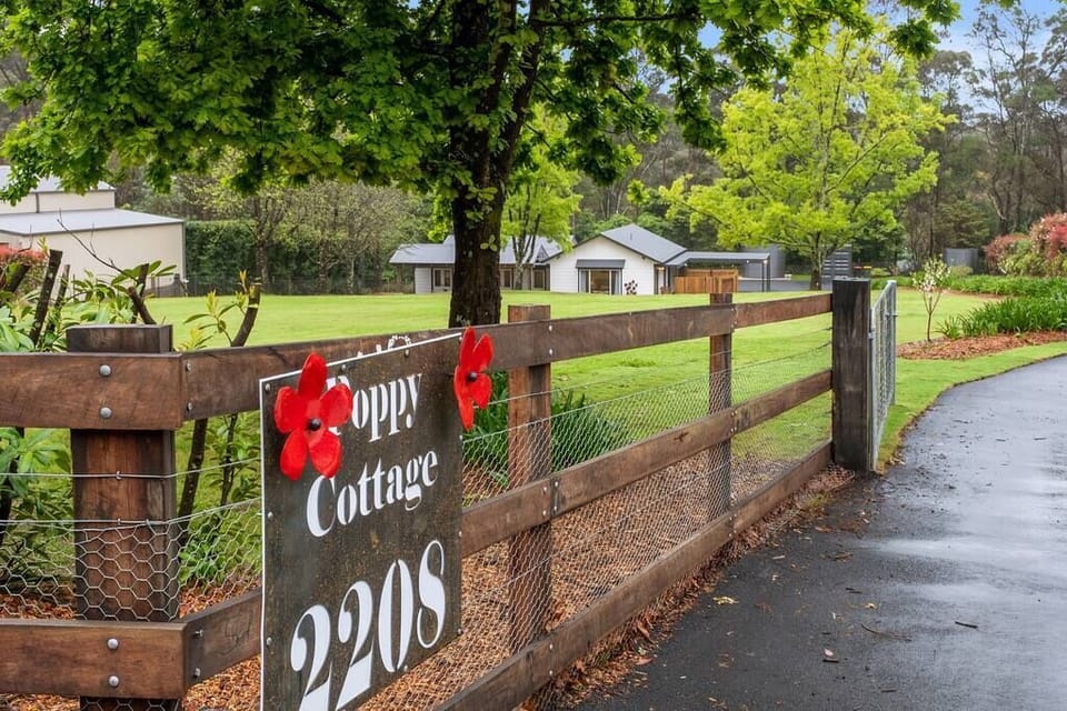 6d0d60c2-d72a-4f37-be9a-79ac3ad7928b