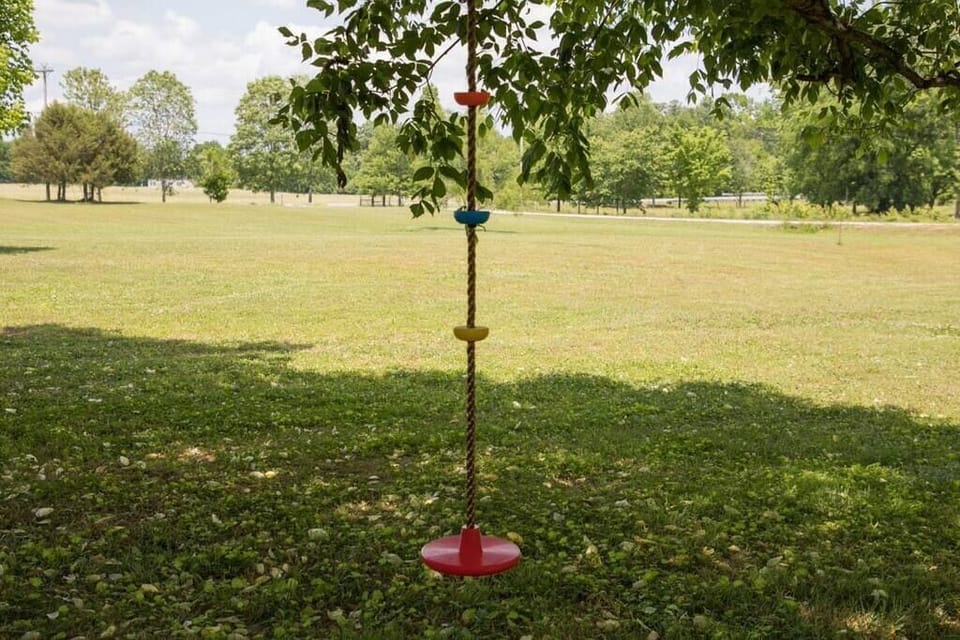 Swings for the kiddos.