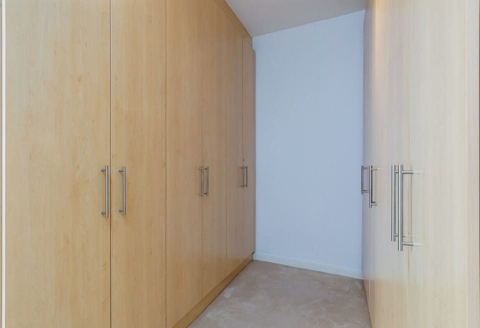 walk in closet 