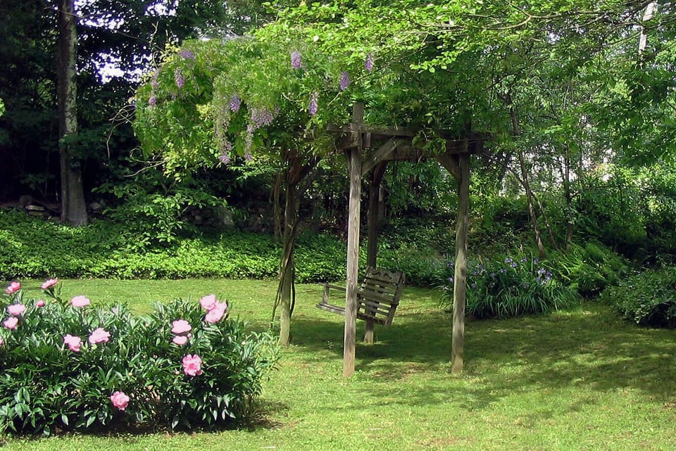Relax under the wisteria