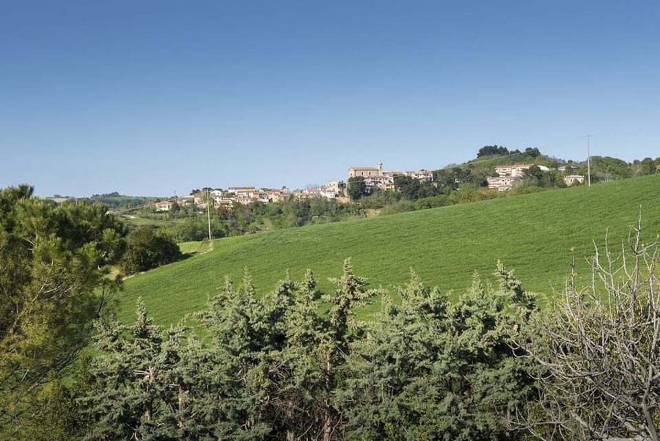 Miscellaneous